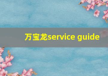 万宝龙service guide